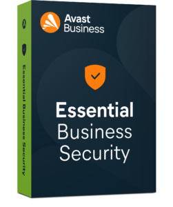 business IT security services